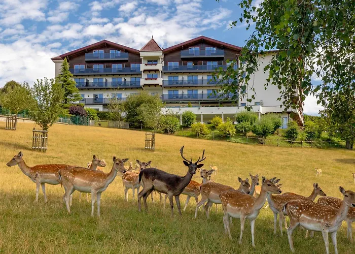 Natur- Und Wohlfuehlhotel Kastenholz