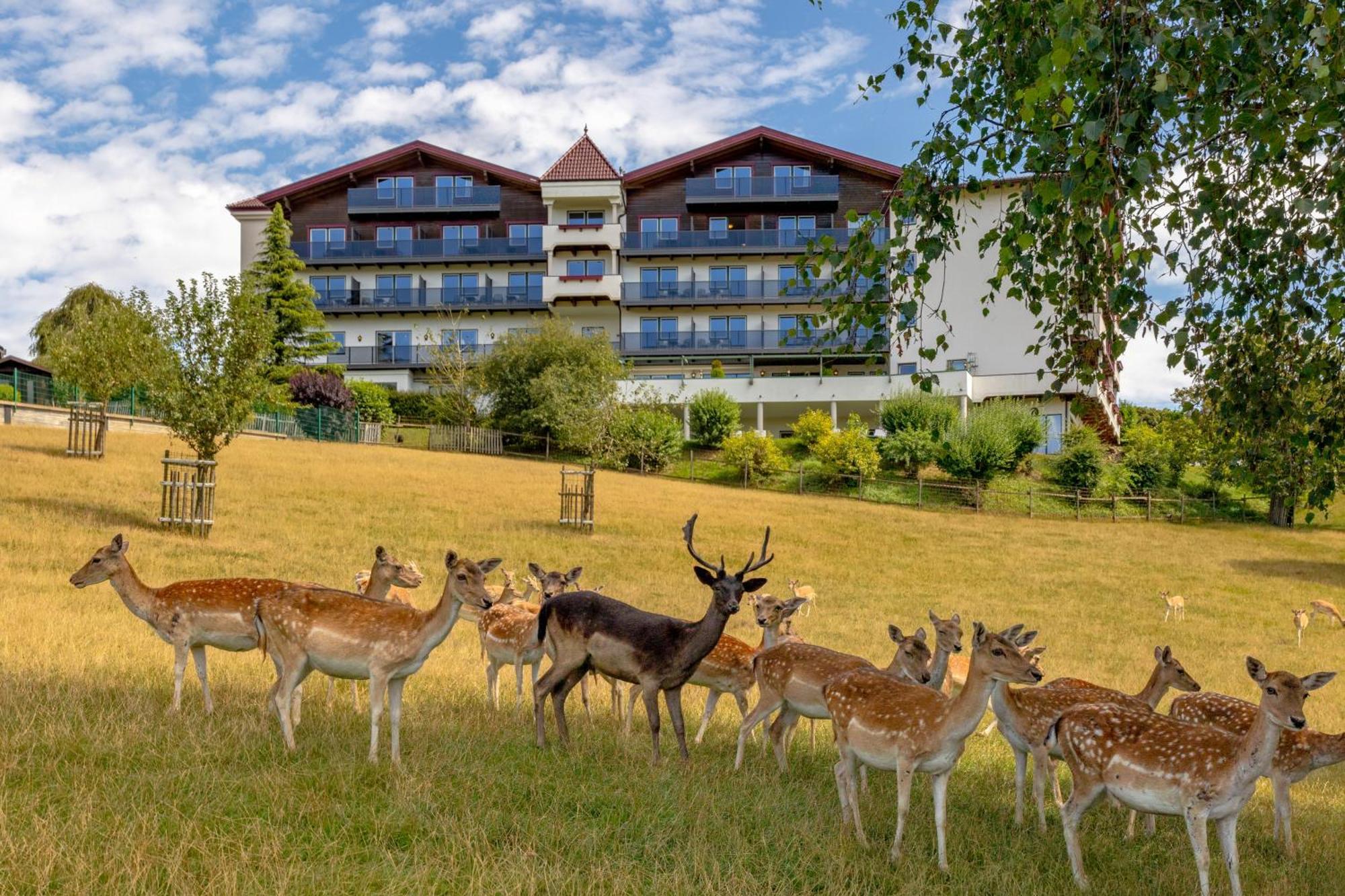 Hotel Natur- Und Wohlfuehlhotel Kastenholz 4*